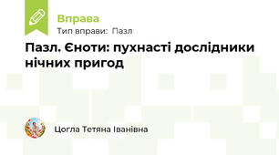 Пазл. Єноти: пухнасті дослідники нічних пригод