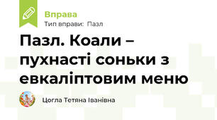 Пазл. Коали – пухнасті соньки з евкаліптовим меню