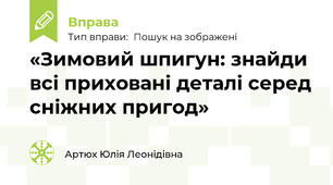 «Зимовий шпигун: знайди всі приховані деталі серед сніжних пригод»