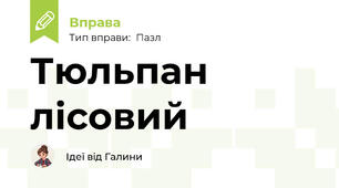 Тюльпан лісовий