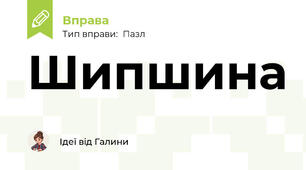 Шипшина