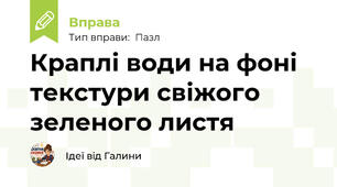 Краплі води на фоні текстури свіжого зеленого листя