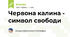 Червона калина - символ свободи