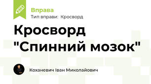 Кросворд "Спинний мозок"