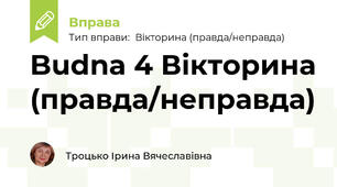 Budna 4 Вікторина (правда/неправда)
