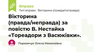 Вікторина (правда/неправда) за повістю В. Нестайка «Тореадори з Васюківки».