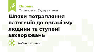 Шляхи потрапляння патогенів до організму людини та ступені захворювань