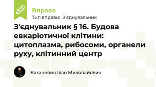 З'єднувальник § 16. Будова евкаріотичної клітини: цитоплазма, рибосоми, органели руху, клітинний центр