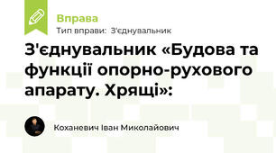 З'єднувальник «Будова та функції опорно-рухового апарату. Хрящі»: