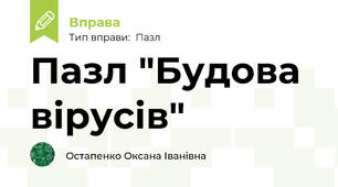 Пазл "Будова вірусів"