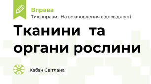 Тканини  та органи рослини
