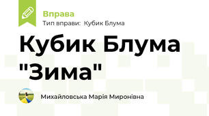Кубик Блума "Зима"