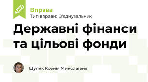 Державні фінанси та цільові фонди
