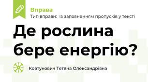 Де рослина бере енергію?