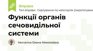 Функції органів сечовидільної системи