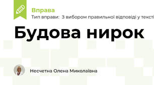 Будова нирок