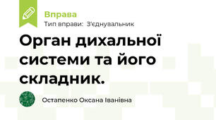 Орган дихальної системи та його складник.