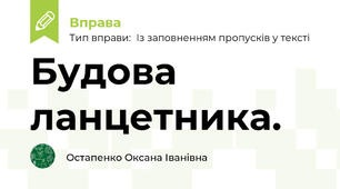 Будова ланцетника.