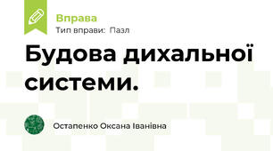 Будова дихальної системи.