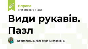 Види рукавів. Пазл