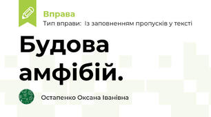 Будова амфібій.