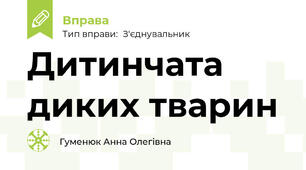 Дитинчата диких тварин