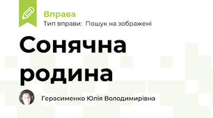 Сонячна родина