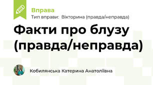 Факти про блузу (правда/неправда)
