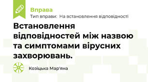 Встановлення відповідностей між назвою та симптомами вірусних захворювань.