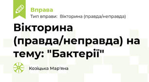Вікторина (правда/неправда) на тему: "Бактерії"