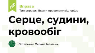 Серце, судини, кровообіг