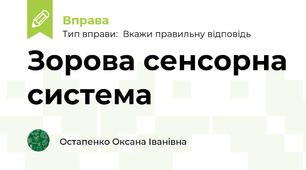 Зорова сенсорна система