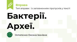 Бактерії. Археї.