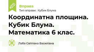 Координатна площина. Кубик Блума. Математика 6 клас.