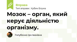 Мозок – орган, який керує діяльністю організму.