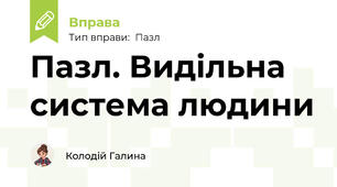 Пазл. Видільна система людини