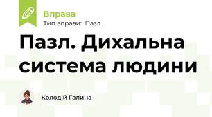 Пазл. Дихальна система людини