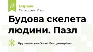 Будова скелета людини. Пазл