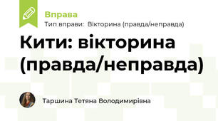 Кити: вікторина (правда/неправда)
