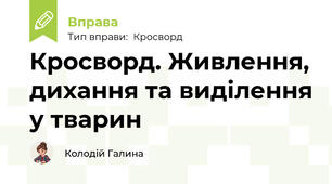 Кросворд. Живлення, дихання та виділення у тварин