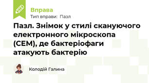 Пазл. Знімок у стилі скануючого електронного мікроскопа (СЕМ), де бактеріофаги атакують бактерію