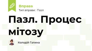 Пазл. Процес мітозу