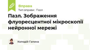 Пазл. Зображення флуоресцентної мікроскопії нейронної мережі