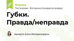 Губки. Правда/неправда