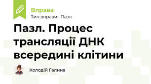 Пазл. Процес трансляції ДНК всередині клітини