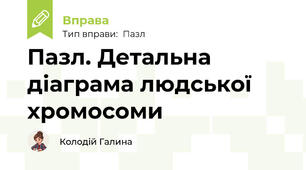 Пазл. Детальна діаграма людської хромосоми