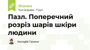 Пазл. Поперечний розріз шарів шкіри людини
