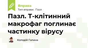 Пазл. Т-клітинний макрофаг поглинає частинку вірусу