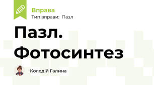 Пазл. Фотосинтез