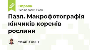Пазл. Макрофотографія кінчиків коренів рослини